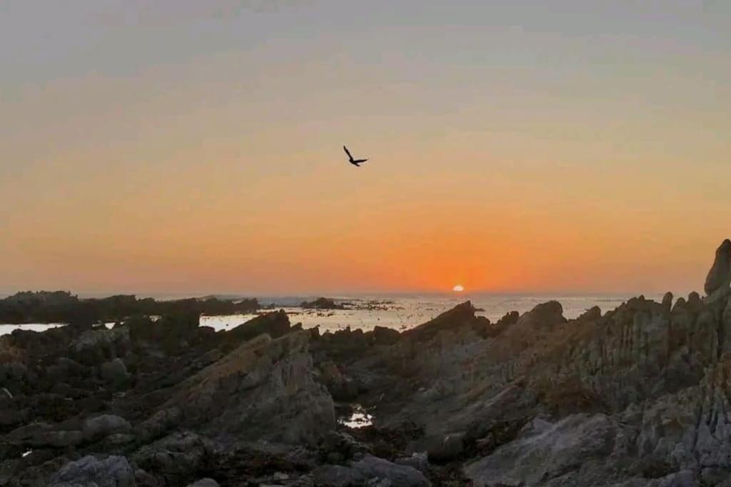 Hermanus Sea View Room المظهر الخارجي الصورة